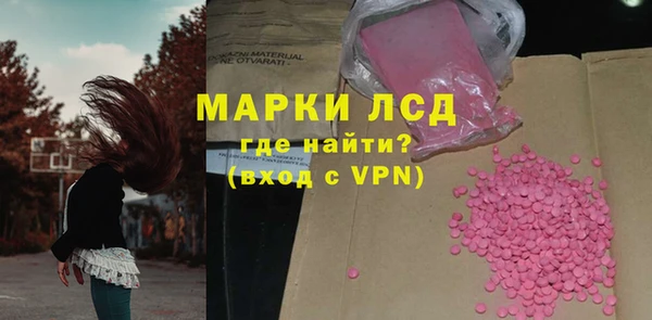 хмурый Новозыбков