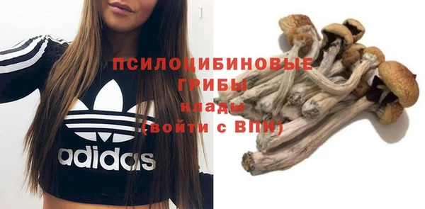 ГАЛЛЮЦИНОГЕННЫЕ ГРИБЫ Абдулино