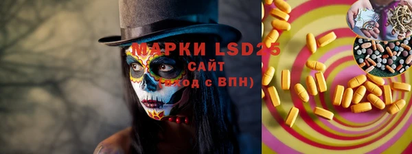 хмурый Новозыбков
