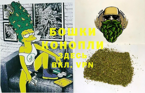 хмурый Новозыбков