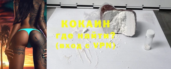 хмурый Новозыбков