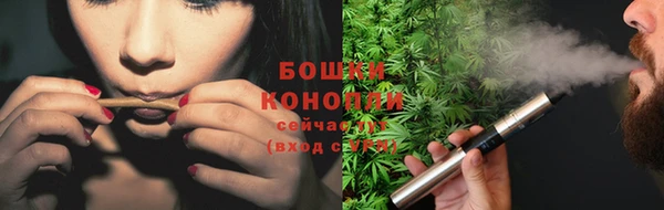 прущие грибы Новокубанск