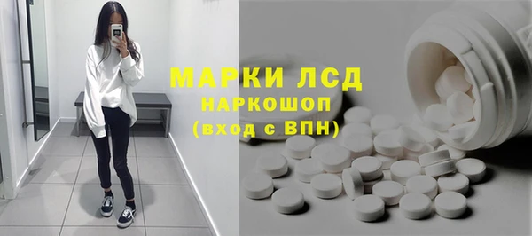 прущие грибы Новокубанск