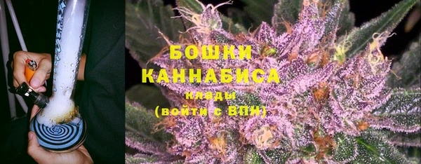 хмурый Новозыбков
