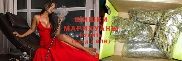 прущие грибы Новокубанск