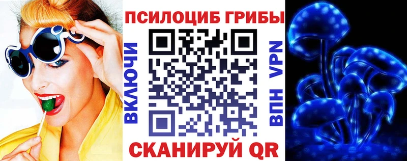 сайты даркнета телеграм  Южа  Псилоцибиновые грибы мицелий  где купить  