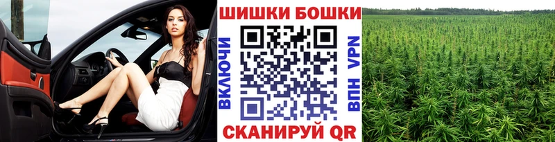 дарнет шоп Южа Бошки Шишки планчик